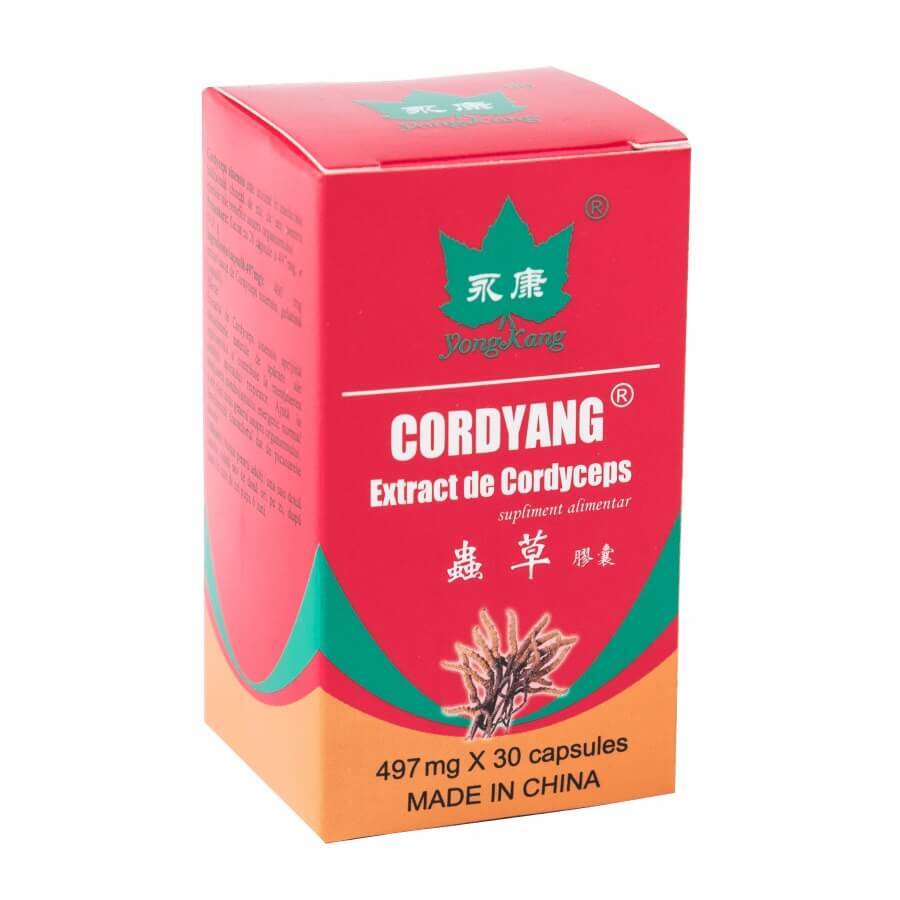 Cordyang 497mg Estratto di Cordyceps, 30 capsule, Yongkang International Cina