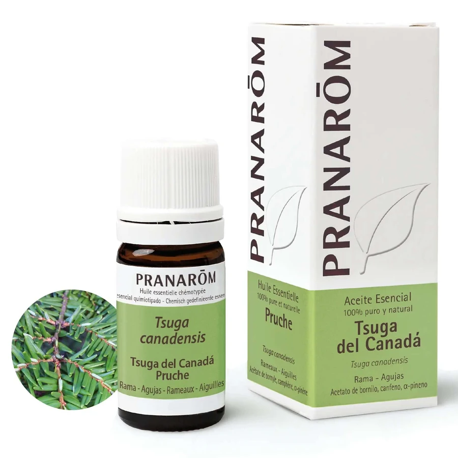 Pranarom etherische olie Tsuga van Canada, 5ml