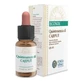 Forza Vitale Quinta Essenz Cajeput 10Ml