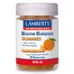 Lamberts Biome Balance , 30 gommes