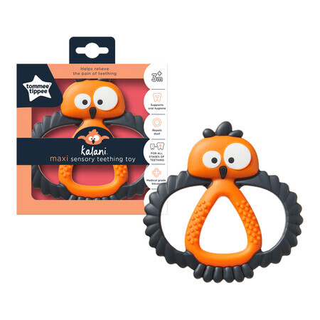 Kalani Maxi Sensory Gingival Ring Toy, +3 maanden, Oranje, Tommee Tippee
