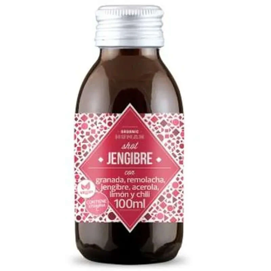 Kildespring Menselijke Schoten Gember 100Ml. Bio