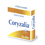 Coryzalia, 40 gélules, Boiron