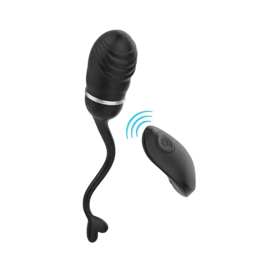 Intense Couples Toys Rechargeable Vibrating Egg 10 Vibration Modes