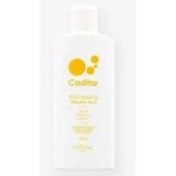 Bio-Recherche Caditar Dry Hair Shampoo 150Ml