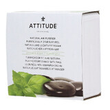 Purificateur d'air aux huiles essentielles de pomme verte et de basilic, 227 gr, Attitude