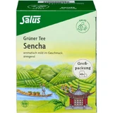 GREEN TEA Bolsas filtrantes ecológicas Salus paquete a granel 40 uds.
