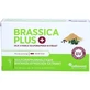 BRASSICA PLUS Kapsułki 30 kapsułek