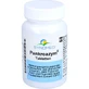 PANKREAZYM Tablete 60 Capsule