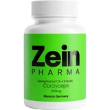 CORDYCEPS CS-4 500 mg capsules 120 st.