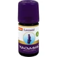 OLIO DI LAVANDA bio 5 ml