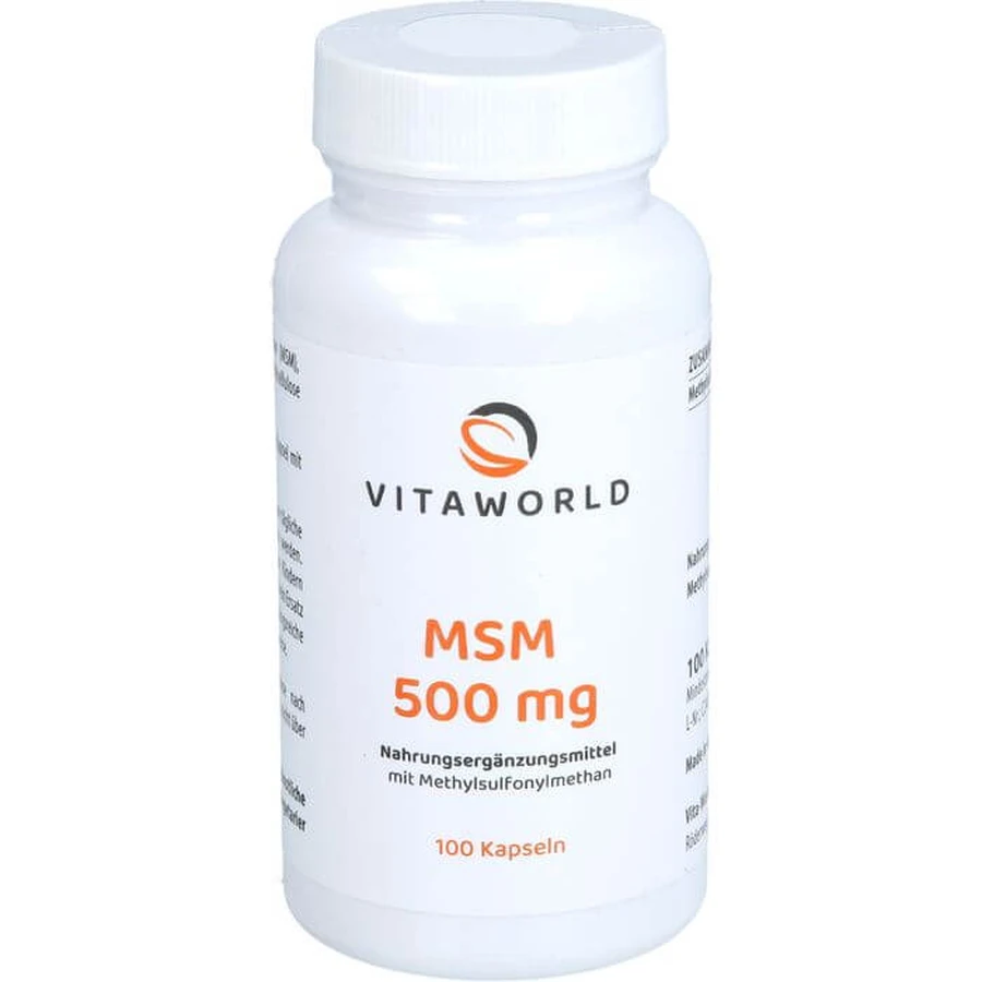 MSM CAPSULES 100 st.