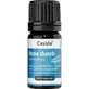 ATME by fragrance blend olio essenziale 5 ml