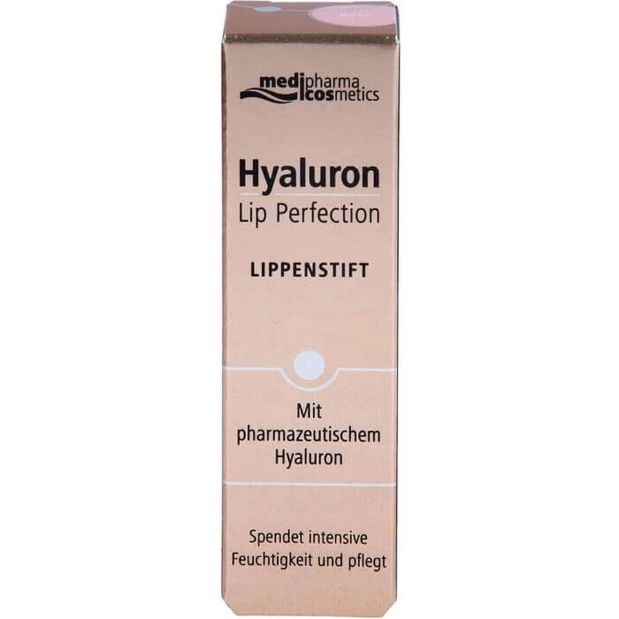 HYALURON LIP Perfection Szminka różana 4 g: ceny i cechy