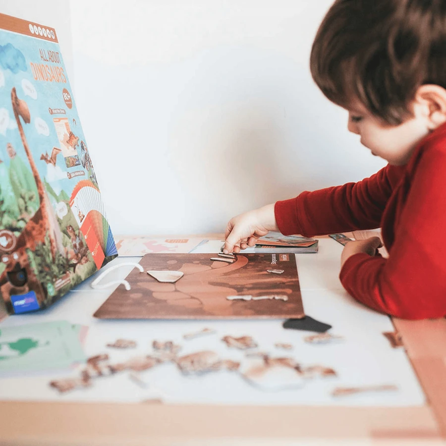 Gioco educativo magnetico - Tutto sui dinosauri