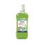 Foramen Antiseptisch Mondwater 500ml-001