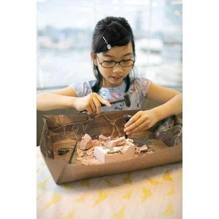 Set educativ Sapa si descopera Dinozauri - T-Rex