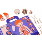 Educatief magneetspel - Menselijke anatomie