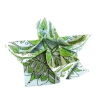 Origami Mandala de colorat, Fridolin