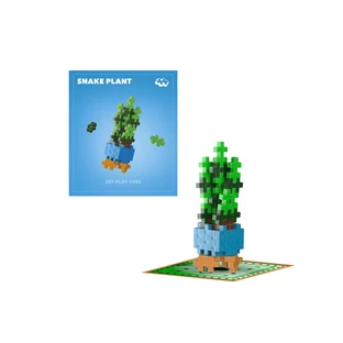 Baukasten Plus-Plus, PFLANZEN - Sansevieria