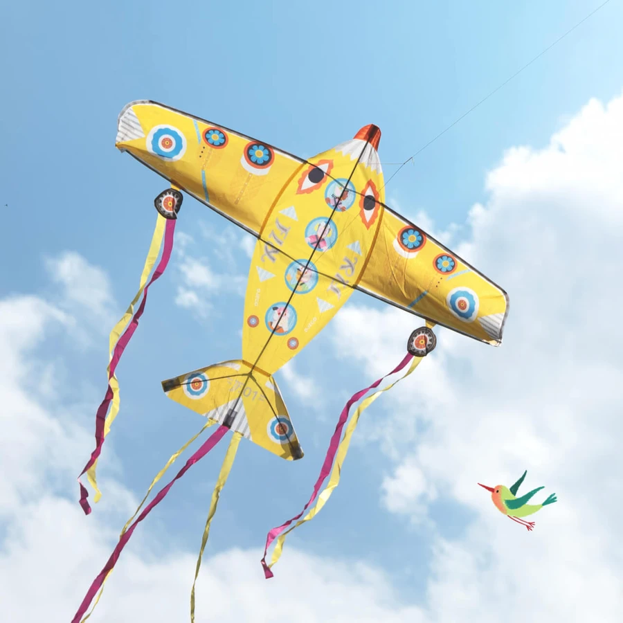 Zmeu Djeco Das größte Flugzeug