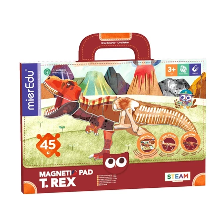 Educational magnetic game - Tyrannosaurus Rex
