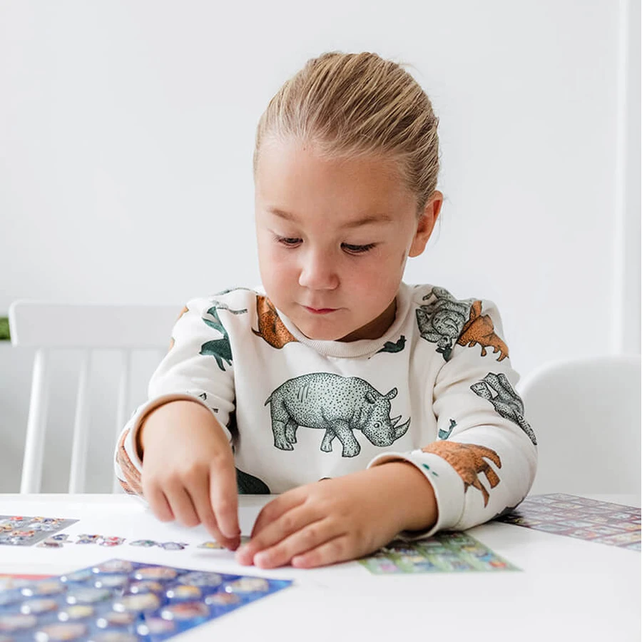 Super set abtibilduri Paw Patrol, Patrula Catelusilor