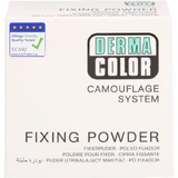 DERMACOLOR Camouflage Fixing Powder large P1 60 g
