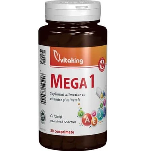 Mega 1 mit Folsäure und B12, 30 Tabletten, Vitaking