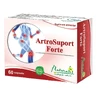Naturalis ArtroSupport Forte x 60 capsules.