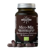 Shiitake, maitake and reishi mushroom extract Mico Mix, 70 capsules, Hifas da Terra