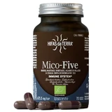 Extract from reishi, maitake, shiitake, agaricus and chaga mushrooms Mico Five, 70 capsules, Hifas da Terra