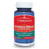 Toverhazelaar extract, 60 capsules, Herbagetica