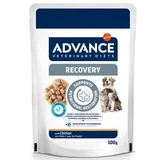 Comida húmeda con pollo para perros y gatos Recovery, 100 g, Advance Veterinary Diets