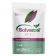 Salvestrol Shield, 500 mg, 90 cápsulas, Hyperfarm
