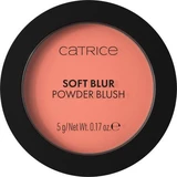 Matte Blush 010 Lychee Lush, zachte vervaagde poederblush, 5g, Catrice