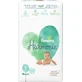 PAMPERS Harmonie No.1 Pampers avec adhésif pour 2-5kg 50 pièces