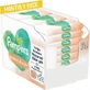 PAMPERS Salviettine Baby Harmonie Protect & Care (12 confezioni da 44 pezzi) 528 Pezzi