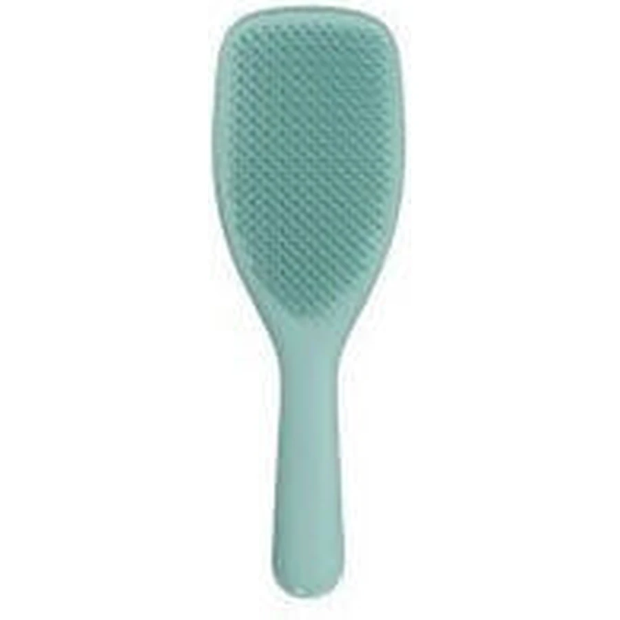 AMBITAS Tangle Teezer Wet Detangling Marine Teal (Large Size) Haarbürste Ideal für dickes - lockiges - langes Haar