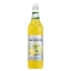 Monin Lemonade Mix Concentré de limonade 1 l (Date d'expiration ...