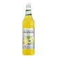 Monin Lemonade Mix Concentré de limonade 1 l (Date d'expiration ...