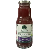 Windy Orchard Apple juice from Kałęczew with blackberry 300 ml