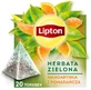 Lipton groene thee Mandarijn en Sinaasappel piramide 20 ...