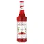 Monin Sirop de afine 0,7 l