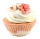 BOSPHAERA Cranberry badmuffin 100 g
