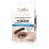 DELIA Wenkbrauw Expert Waterproof Wenkbrauw Pommade 3.0 Bruin 7 g