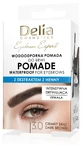 DELIA Eyebrow Expert Waterproof Eyebrow Pomade 3.0 Brown 7 g