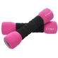 Abisal HMS Soft Pink Weights 2 x 1 kg CM06