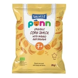 Salvest Ponn Bio Mango-Chips 20 g