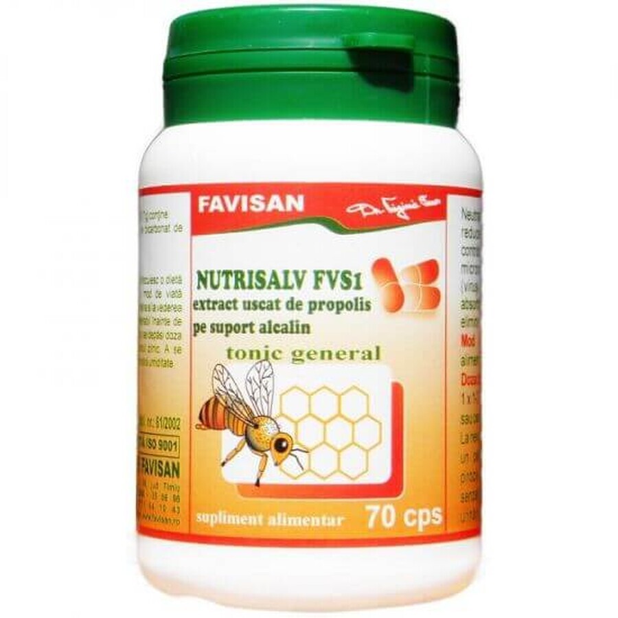 Nutrisalv FVS1, 70 capsules, Favisan